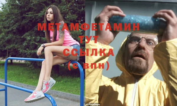 ПСИЛОЦИБИНОВЫЕ ГРИБЫ Горняк
