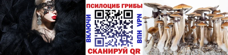 Купить где  Тимашёвск  Галлюциногенные грибы ЛСД 